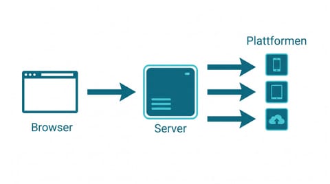 Datenfluss-Diagramm vom Browser über den eigenen Server zu den Plattformen